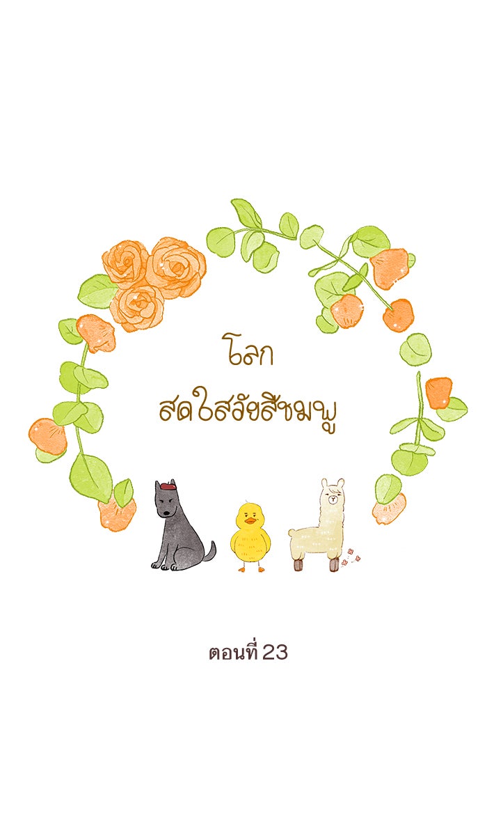 โลกสดใสวัยสีชมพู - หน้า 1