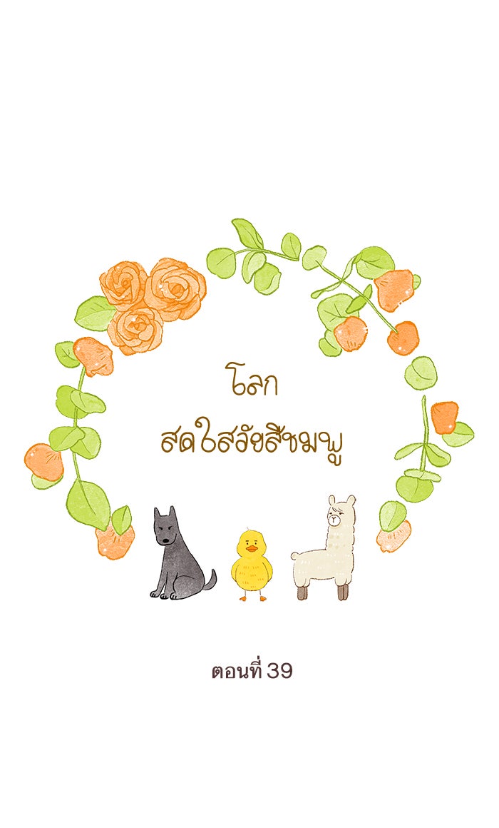โลกสดใสวัยสีชมพู - หน้า 1