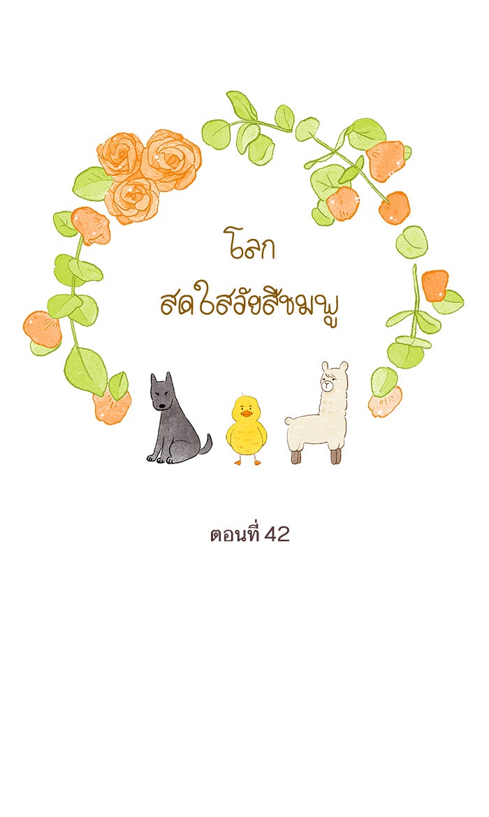 โลกสดใสวัยสีชมพู - หน้า 1