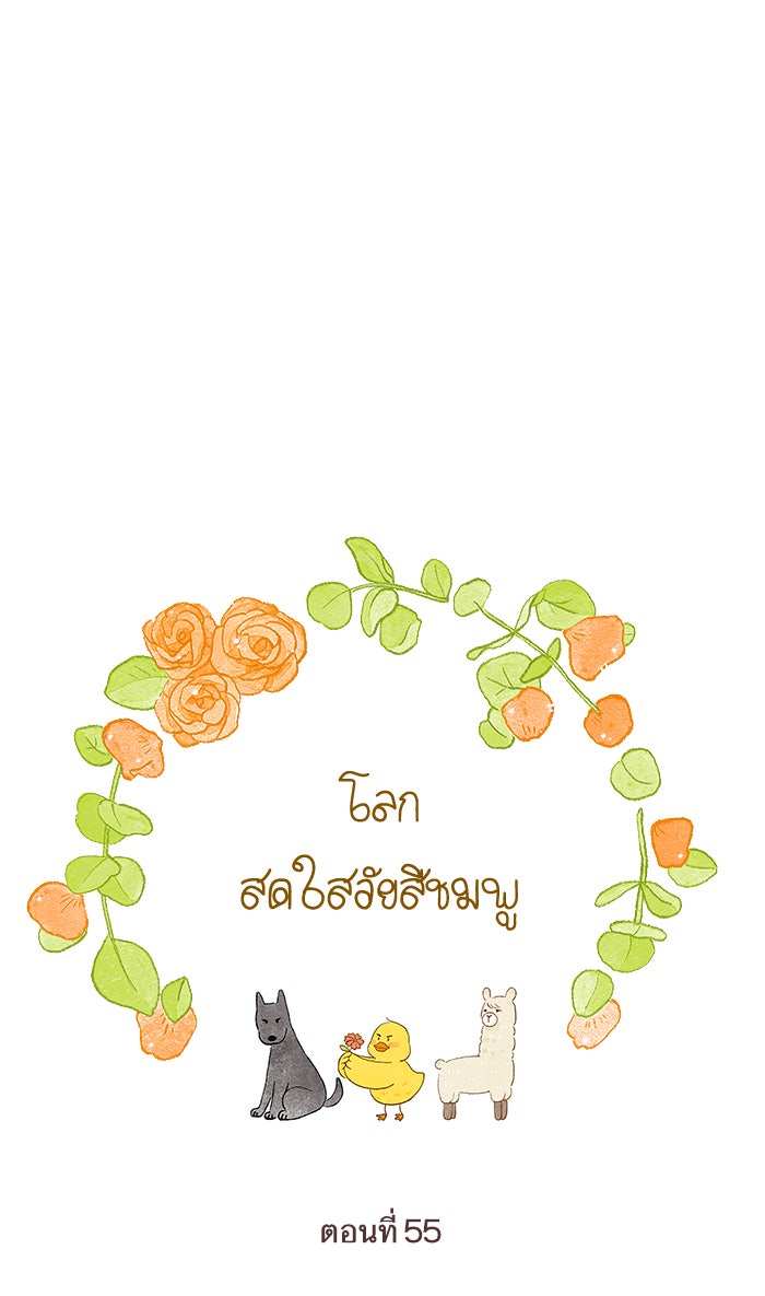 โลกสดใสวัยสีชมพู - หน้า 1
