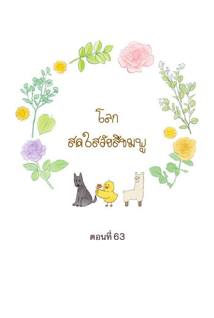 โลกสดใสวัยสีชมพู - หน้า 1
