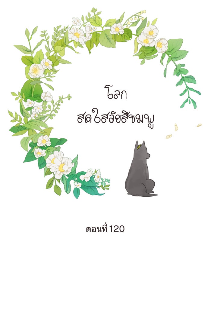 โลกสดใสวัยสีชมพู - หน้า 20