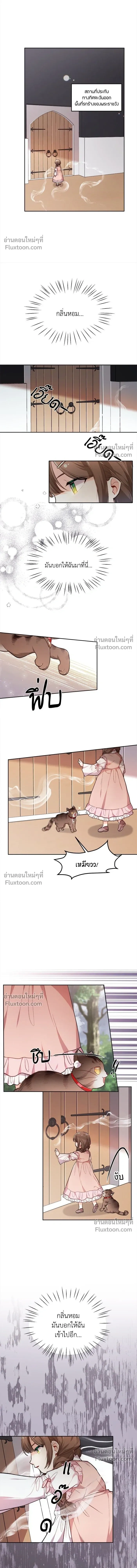 The Heroine of Drayfox - ชีวิตใหม่ของยัยเลดี้ตัวประกอบ - หน้า 7