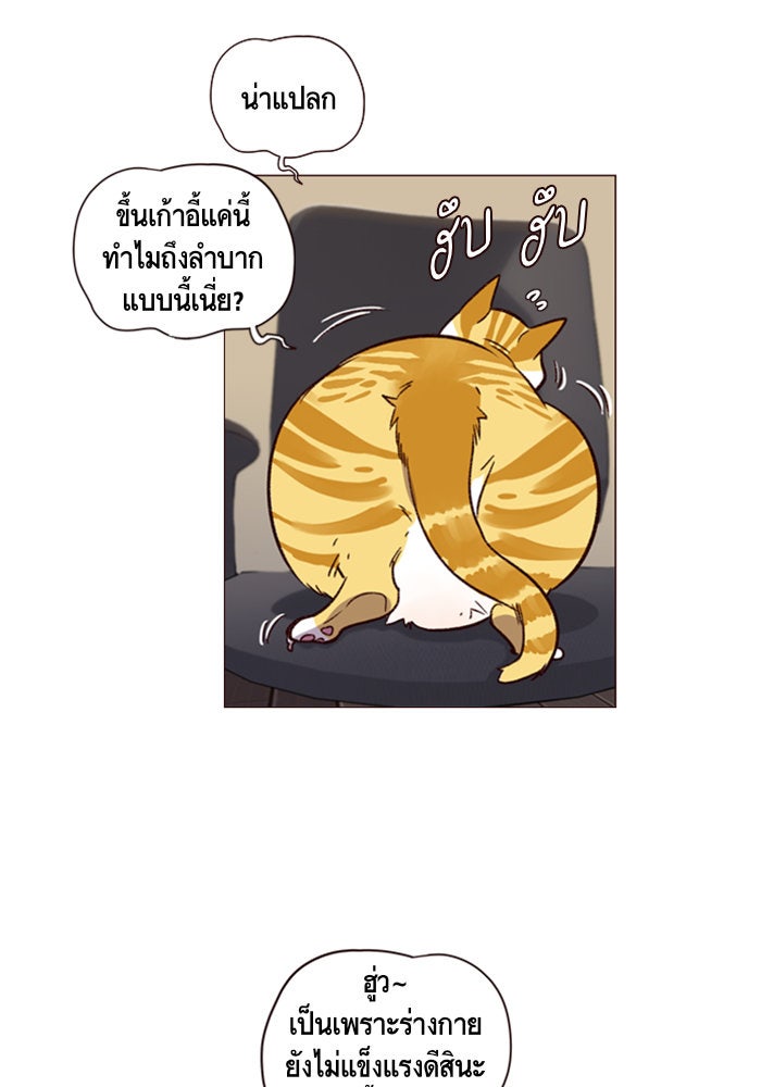 Eleceed - หน้า 87