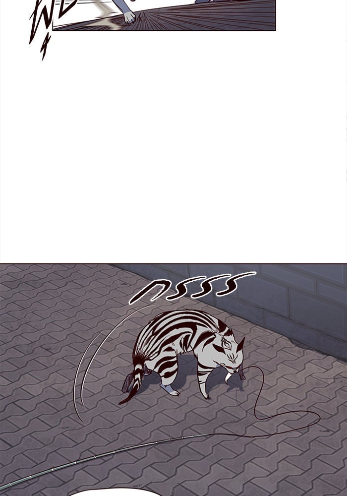 Eleceed - หน้า 19