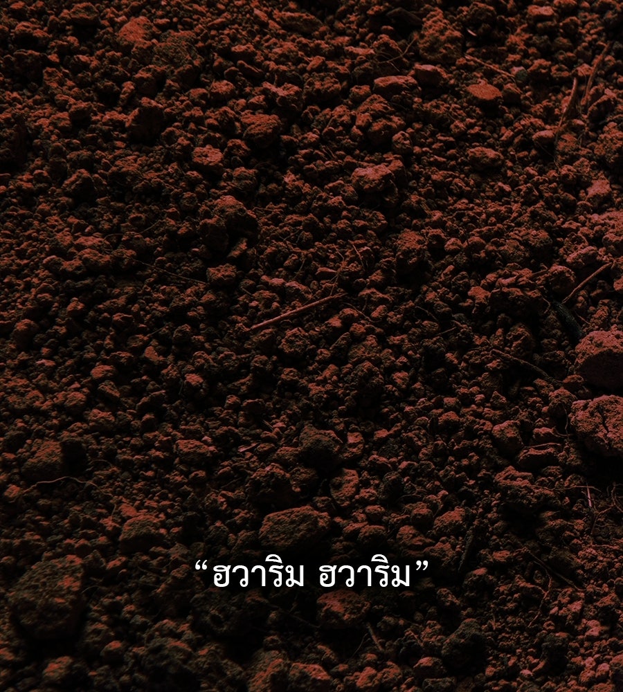 หลุมพรางแห่งศรัทธา - หน้า 5
