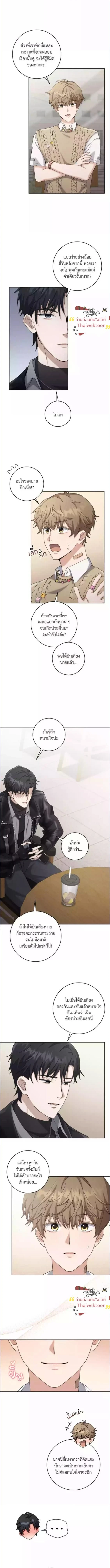 KissCross - กระซิบรักกลางแสงฝัน - หน้า 6