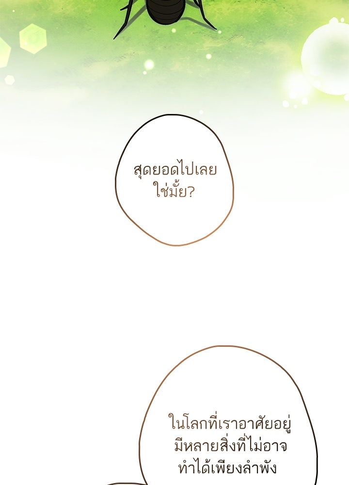 ครูพิเศษของลอร์ดเพรสตัน - หน้า 34