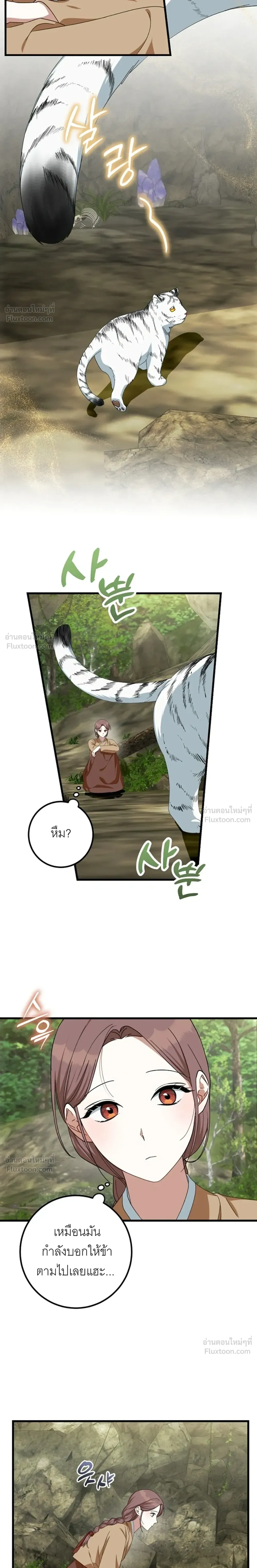 Tiger Husbands - วิวาห์พยัคฆ์ - หน้า 2