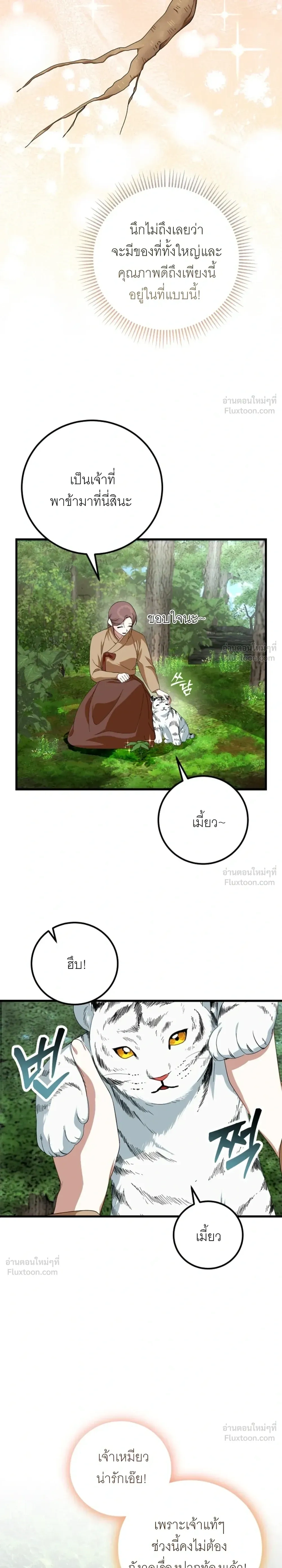 Tiger Husbands - วิวาห์พยัคฆ์ - หน้า 7