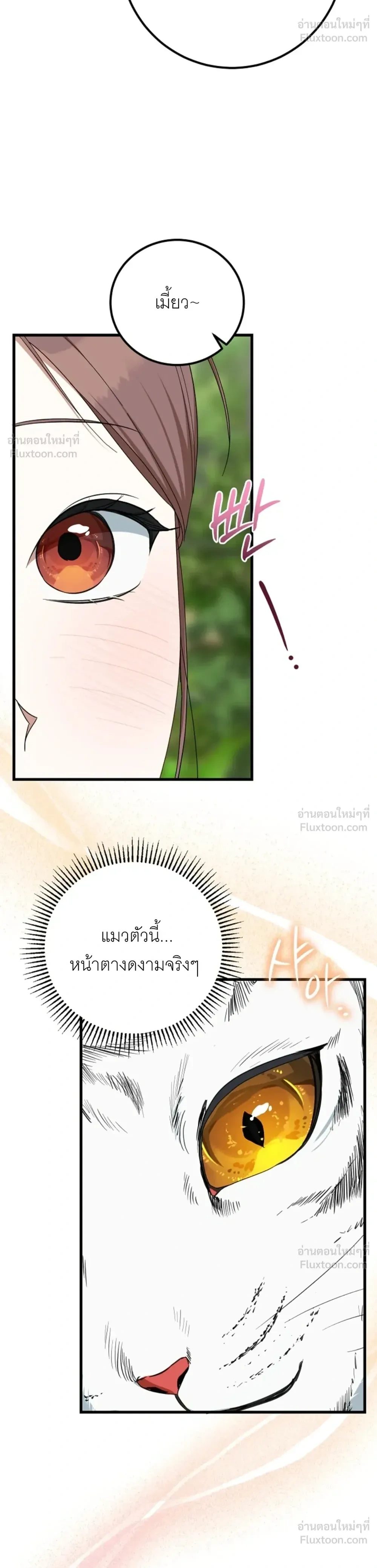 Tiger Husbands - วิวาห์พยัคฆ์ - หน้า 9