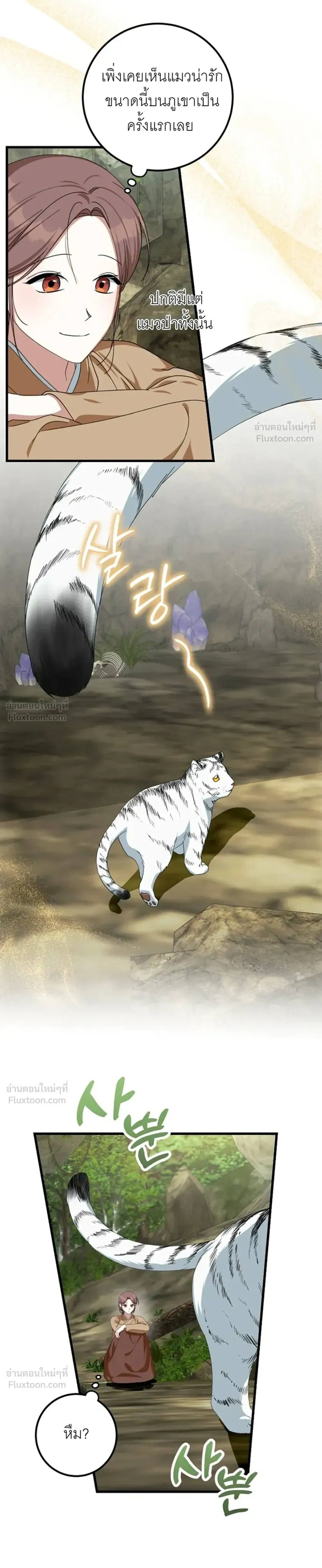 Tiger Husbands - วิวาห์พยัคฆ์ - หน้า 2