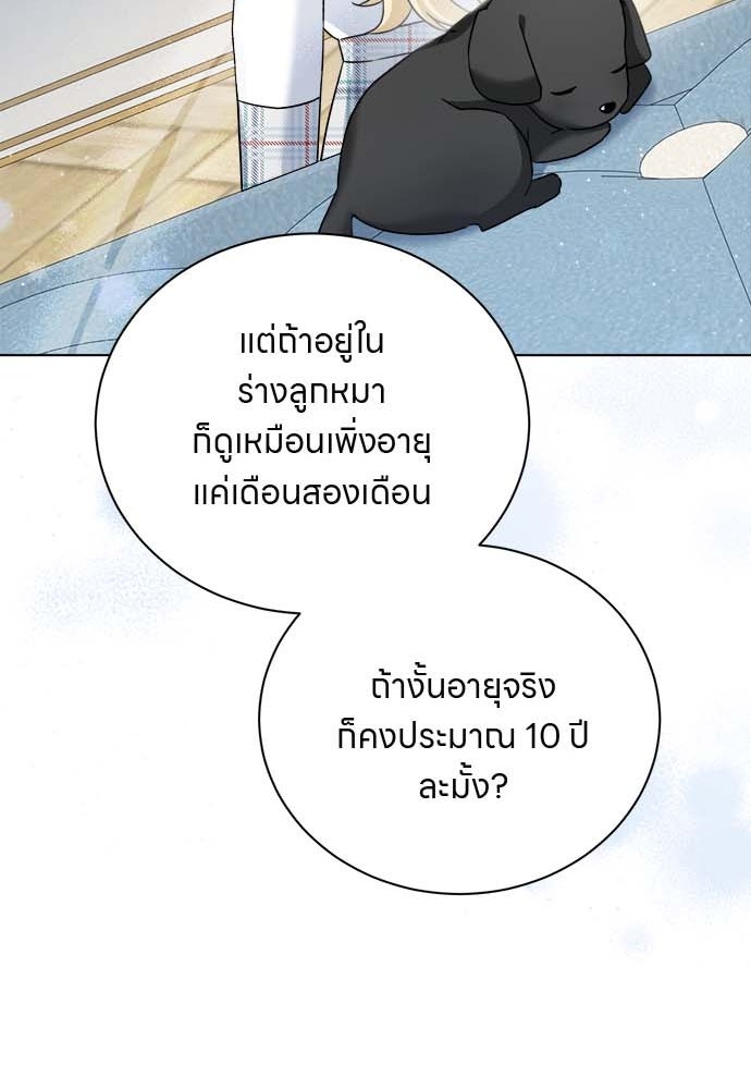 โรงพยาบาลสัตว์เถื่อนในต่างโลก - หน้า 12