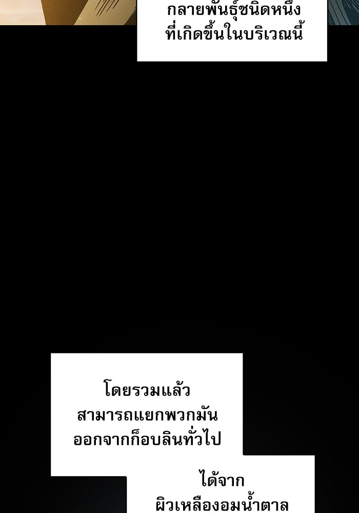 นักดาบอัจฉริยะจากอะคาเดมี - หน้า 3
