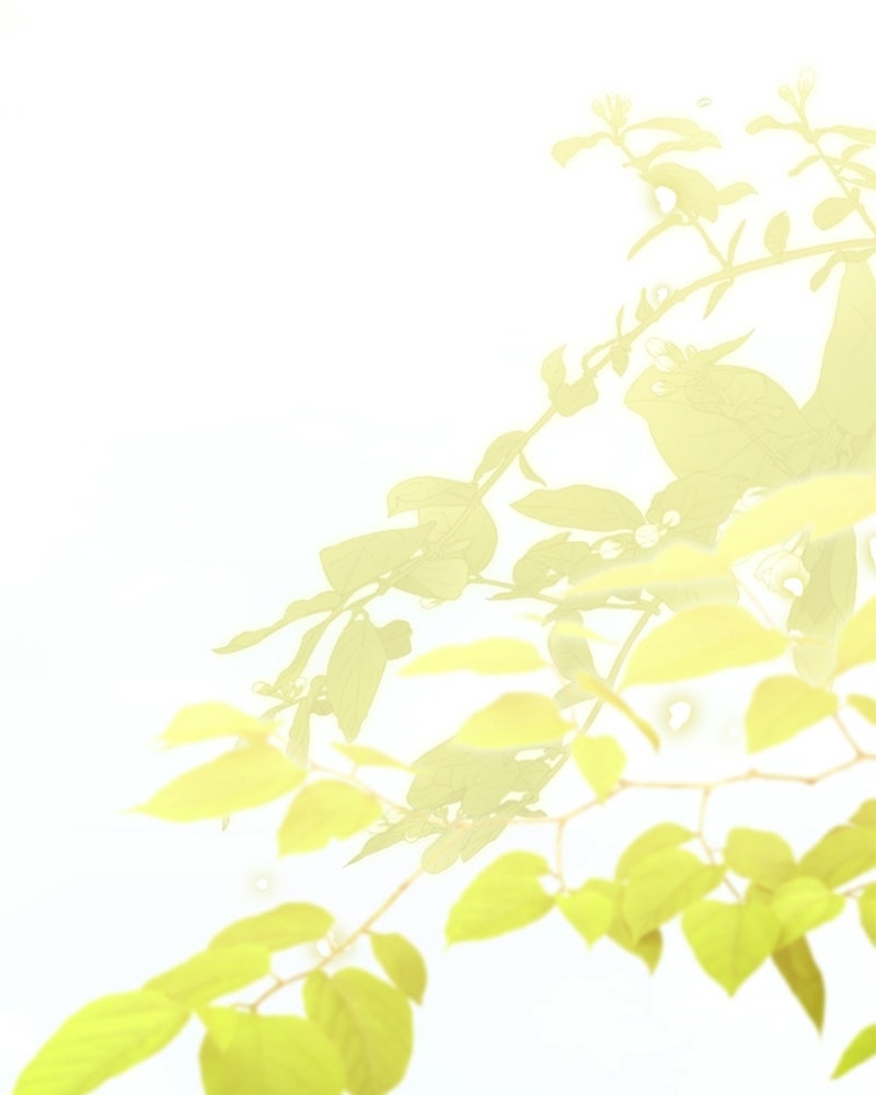 เจ้าสาวแกรนด์ดยุกปีศาจ - หน้า 117