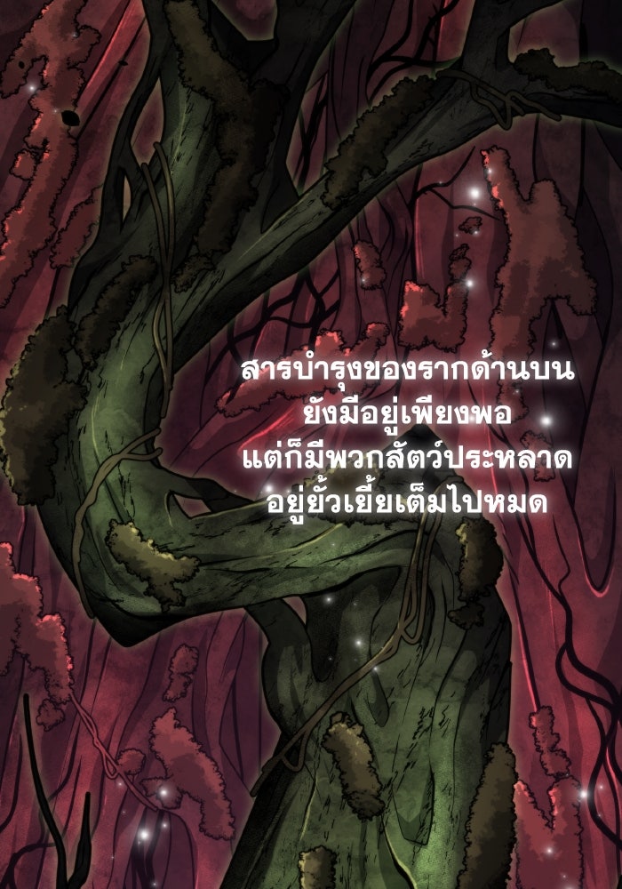 การแข่งขันของผู้เกิดใหม่ - หน้า 25