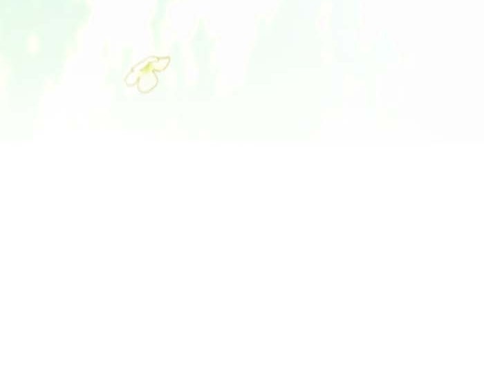 Spirit Fingers วาดรักระบายฝัน - หน้า 96